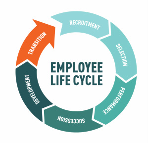 Employment Cycle - Employee Motivation